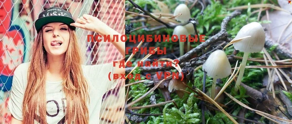 бутират Богданович