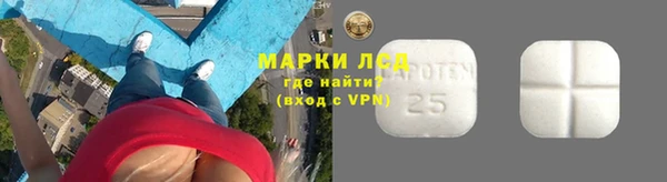 PSILOCYBIN Богородск