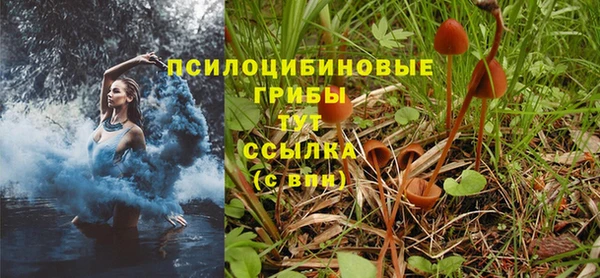 гидропоника Богородицк