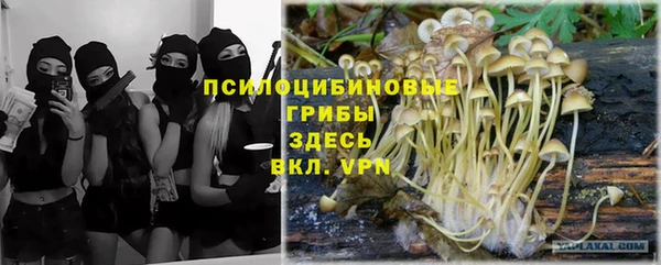 PSILOCYBIN Богородск