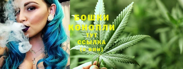 бутират Богданович